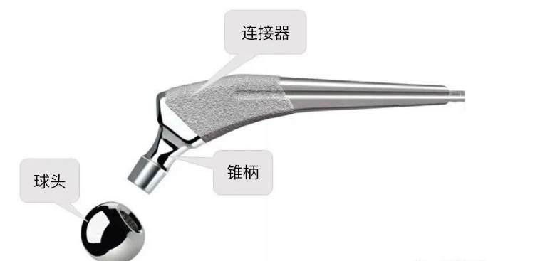 三坐測量機如何實現(xiàn)股骨球頭高效測量(圖1) 三坐測量機如何實現(xiàn)股骨球頭高效測量(圖1)